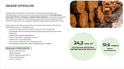 Инвестиционный потенциал лесопромышленного комплекса Свердловской области - ознакомительный фрагмент презентации - 2